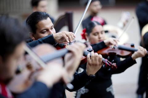 two mariachi musicians playing instruments