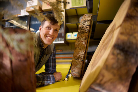 Drew Peltier in lab with tree samples