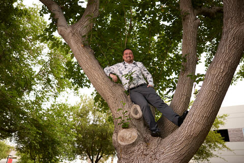 Kevin McVay in a tree