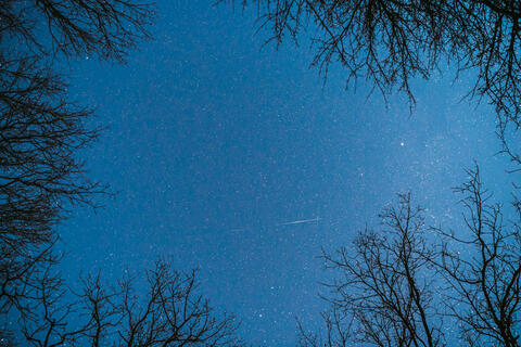 Night sky