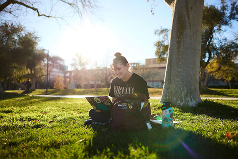 A woman sitting down on a grass area with her laptop