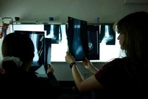 Students assess X-ray images in a dark room.