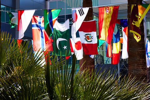 An outdoor display of various international flags hanging between palm trees in front of the Student Union.