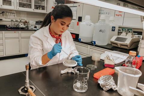 Taylor Garson in Wing lab using research equipment