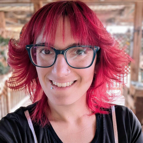 Lisamarie Tomassetti 