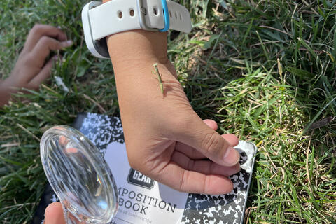 Rebel STEM Explorers