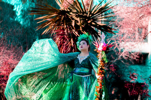 illustration of woman in green dress with fireworks behind her