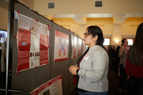 A person looking at a display of posters