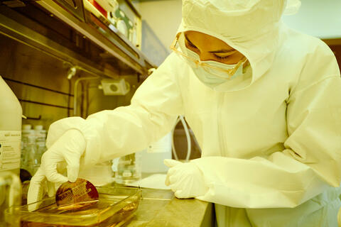 A person in a disposable white hazmat suit pinching a maroon flat circular chip into a liquid