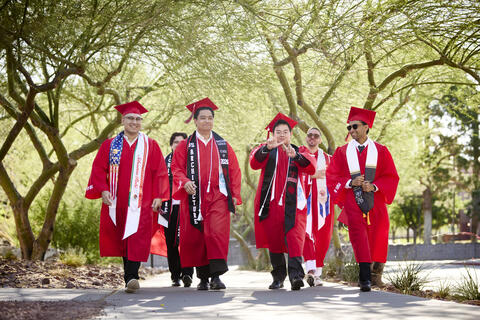 undergraduates