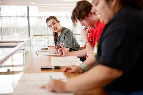 Students working together at a table