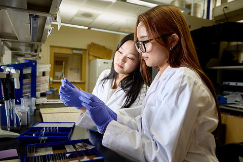 Two students inside a lab studying a specimen