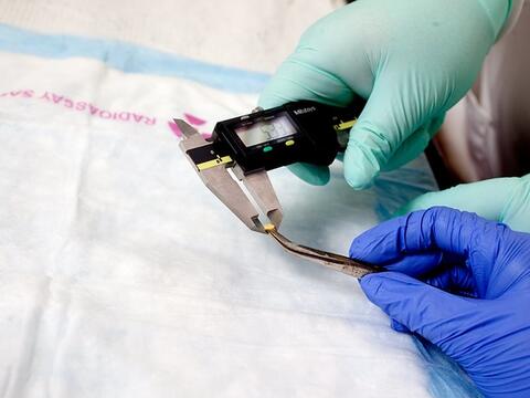 A person conducting an experiment