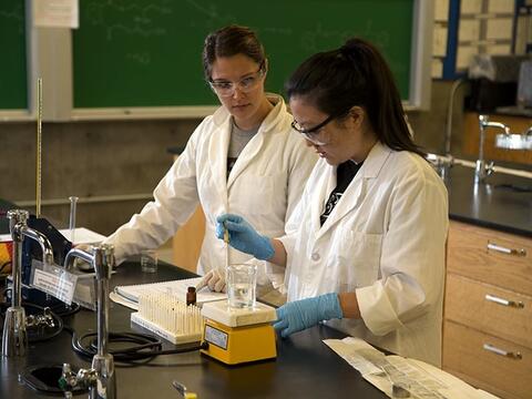 Two students conducting an experiment in the classroom
