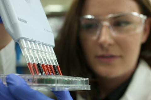 Student putting fluid samples into a dish