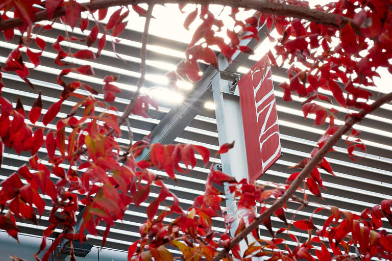 UNLV signage surrounded by autumn leaves