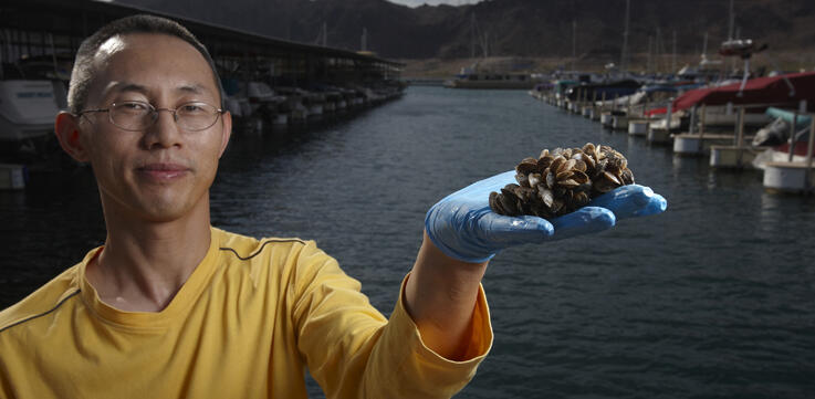 David Wong holding quagga mussels
