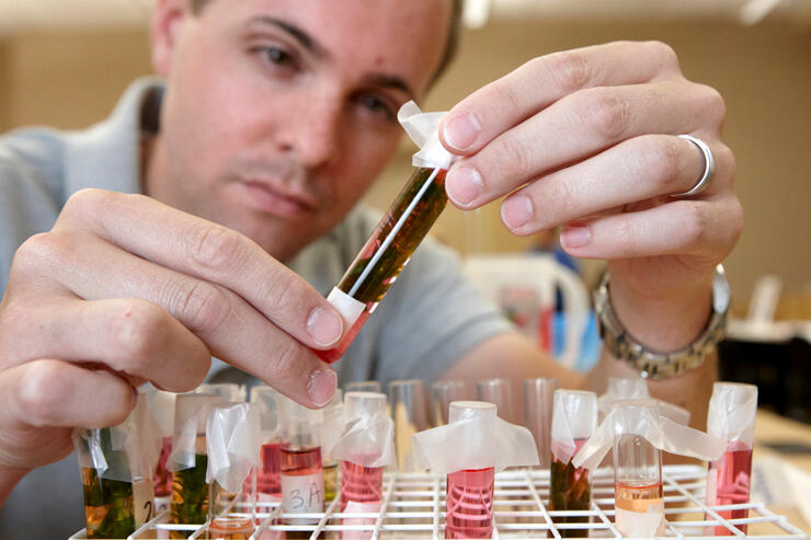 A male researcher examines the contents of a test tube.