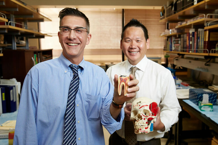 Dr. Karl Kingsley and Dr. James Mah hold a model of a tooth.