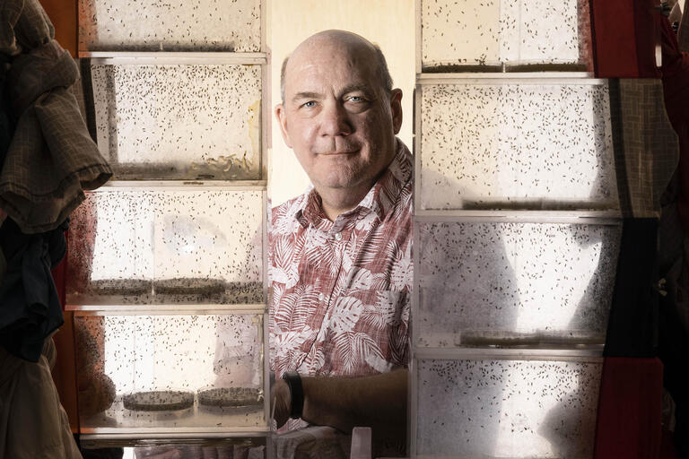 man surrounded by clear cases containing fruit flies
