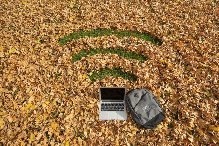 backpack and laptop on lawn filled with leaves forming wifi symbol