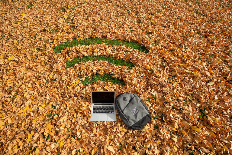 A laptop sits in a pile of leaves, in which lines are cleared out to make the "Wi-Fi" symbol