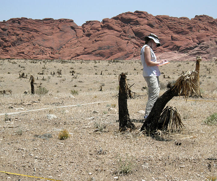 Picture of researcher in desert