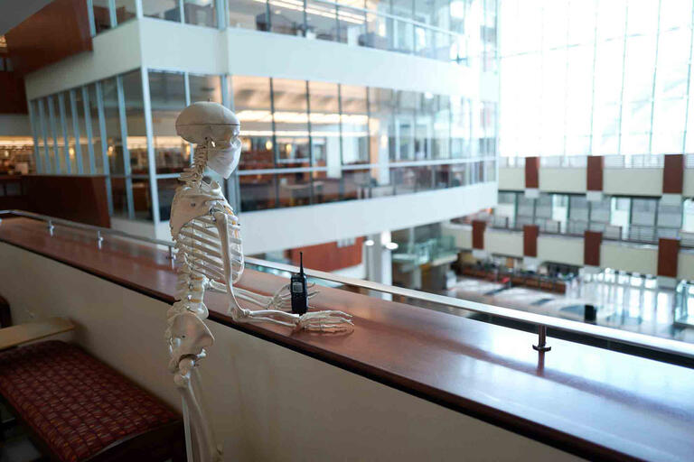 A skeleton stands at a balcony looking out over the library