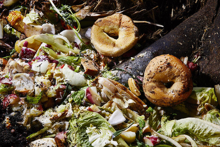 composter with food waste