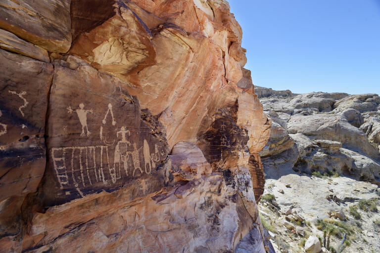 Gold Butte National Monument Petroglyphs