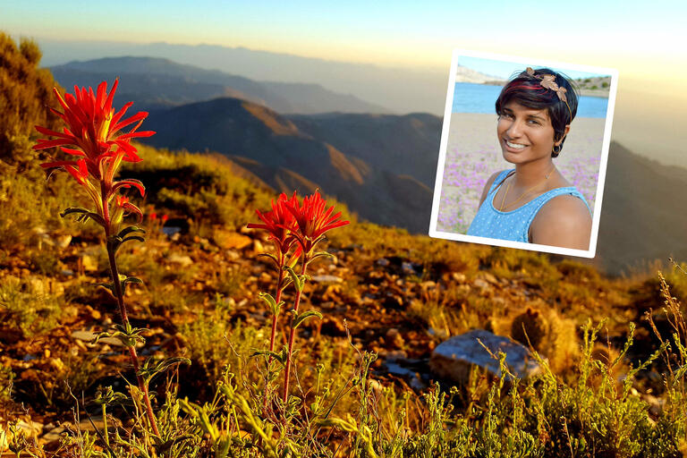 A photo showing red flowers blooming at sunrise with mountains in the background as well as a photo of a student smiling at the camera in front of a lake.