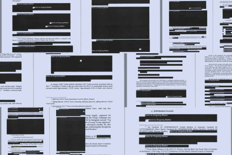 series of pages with redacted passages
