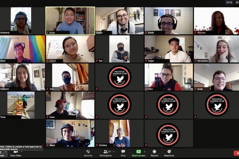screenshot of videoconference call