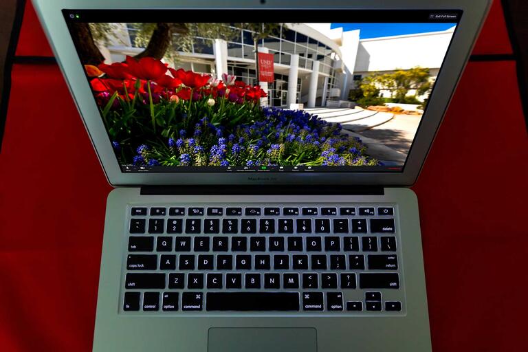 A computer screen showing the virtual meeting program with a background of red tulips.