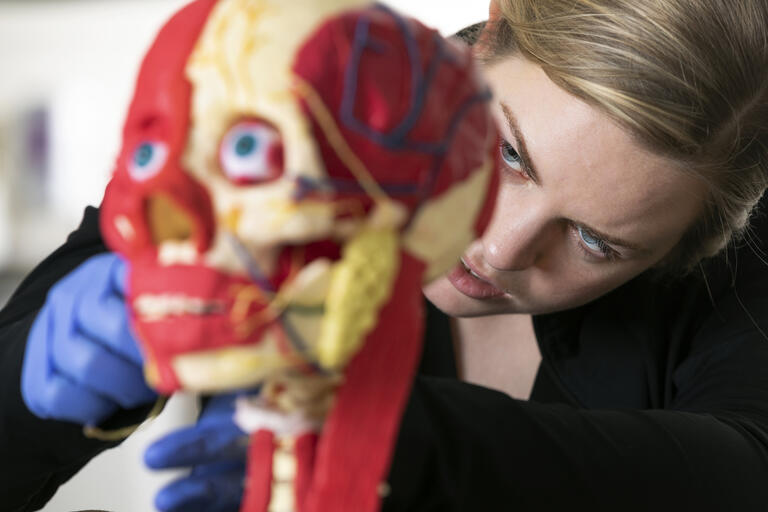 woman working on a wax model of skull