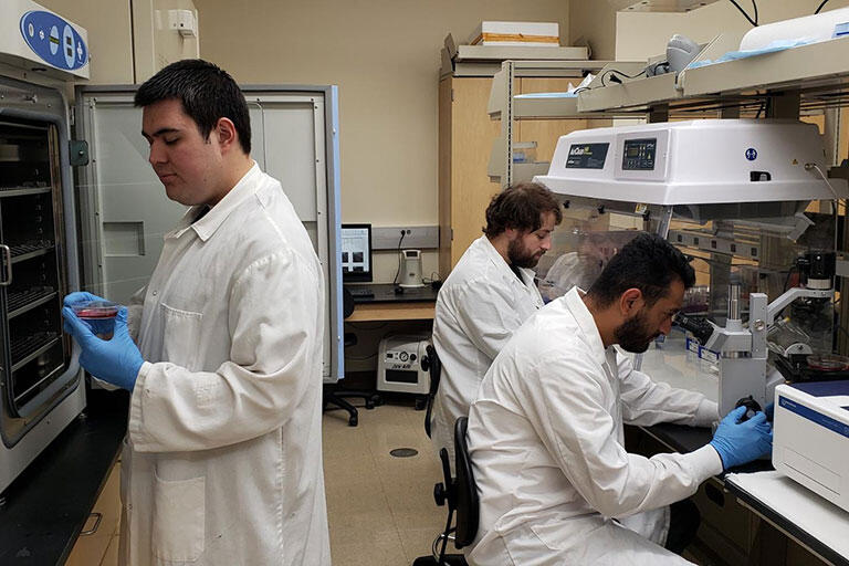 Multiple male students working in the lab