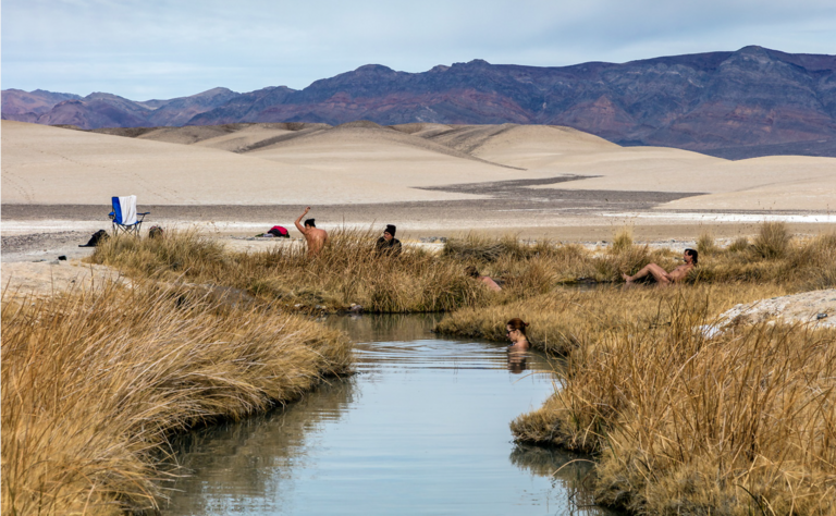 The Desert Contained in the Barrick Museum - Vimarsana News