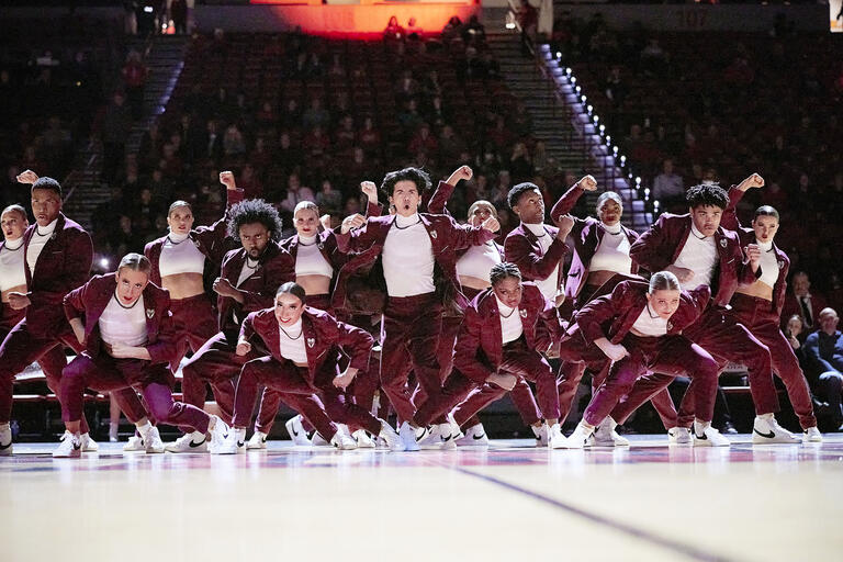 troupe of male and female hip hop dancers performing