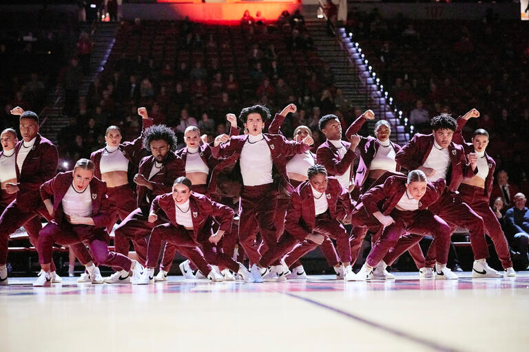 A coed dance group performing at a stadium.