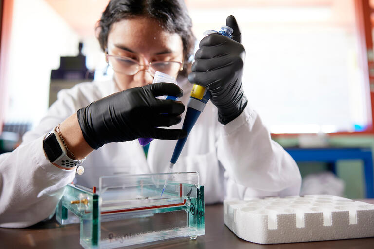 A biology student working in a lab.