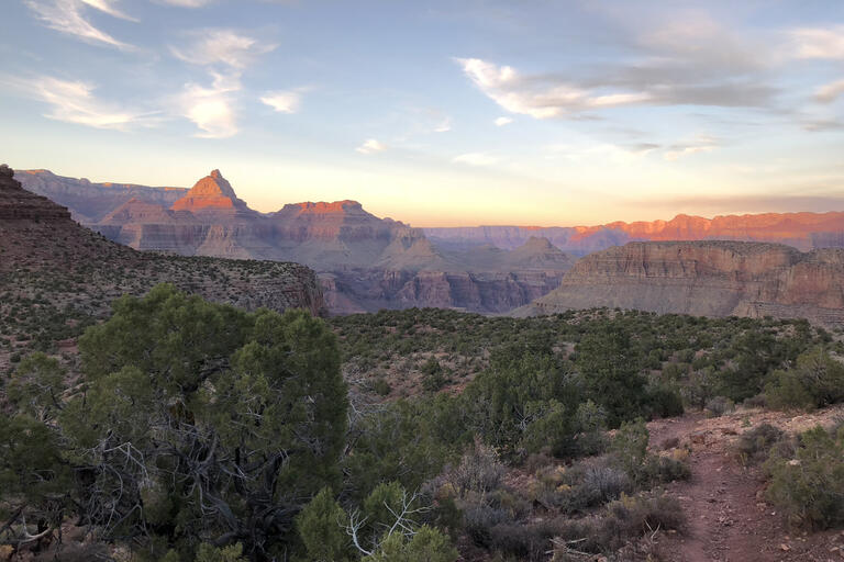 view of the Grand Canyon