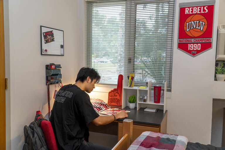 Person sitting at desk by window working