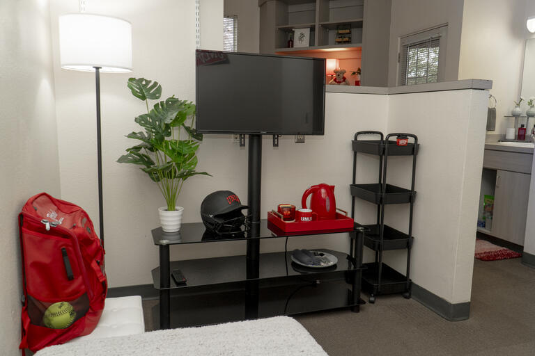 View of a living space with a TV at the center