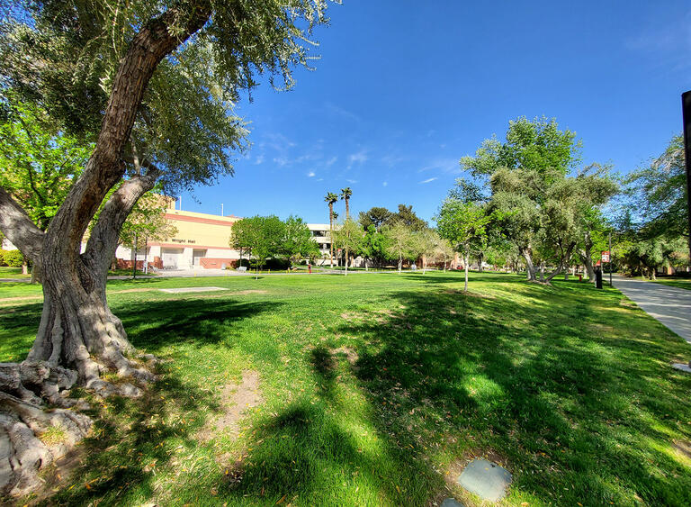 Outdoor space split into seven grassy lots