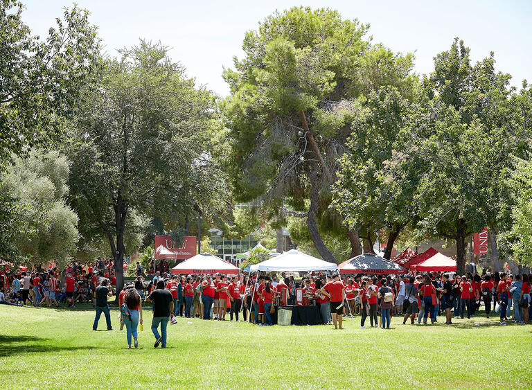 Groups of people gathering around the grassy lots