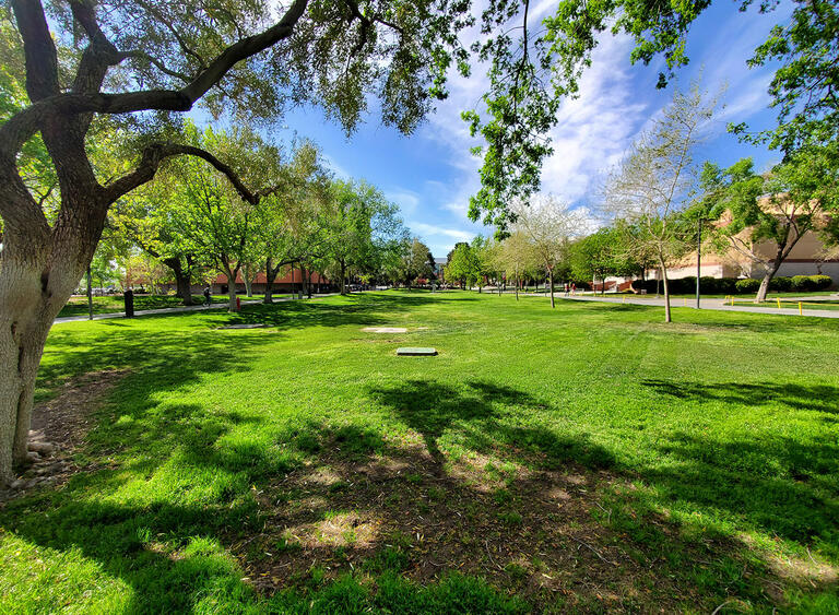outdoor space split into seven grassy lots and trees along the pathway