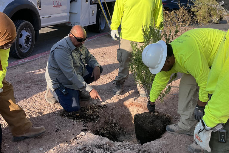 People planting a tree in the ground.