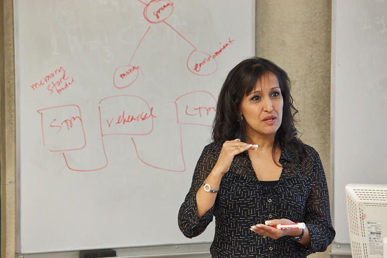 Female professor lectures her students at the lecture hall