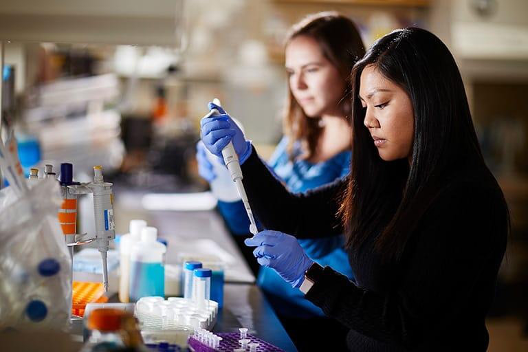 Students working in a lab