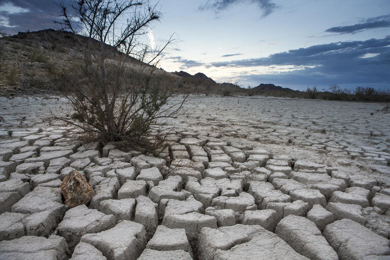 A dry lake bed at Lake Mead National Recreation Area.